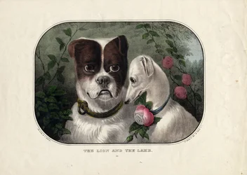 El león y el cordero, publicado por N. Currier, Nueva York, c.1838-56